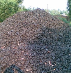 High CV Coal Nut