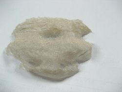 Premium Bird's Nest Strand