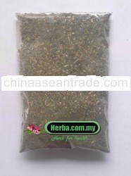 Andrographis Paniculata - Hempedu Bumi from