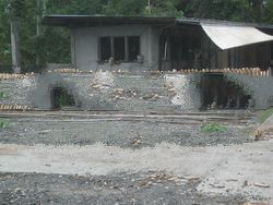 Gmelina lumber, sun drying