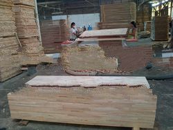 Promotion Sales ! Falcata Bare Core A usd 280 CNF