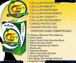 C 24/7 / AIM GLOBAL