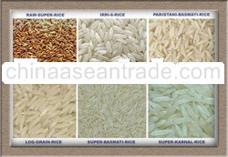 Pakistani Rice