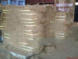 Sell Coconut Fiber Golden Brown Direct From Manufacturer