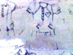 Pattern Maker And Sample Creator Clothing