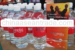 Alkaline Ionized Water