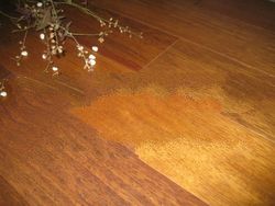 Solid Flooring, Laminate Flooring, Engineered Flooring