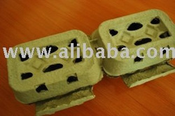 Welltech Egg Box (6)