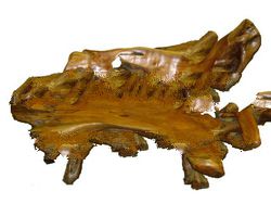 Teak Root Bench Medium