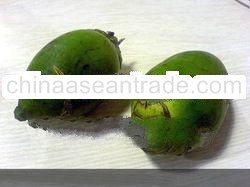 Areca nut