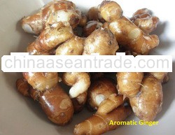 Aromatic Ginger/Sand Ginger/Cutcherry or Resurrection Lily/Kencur.