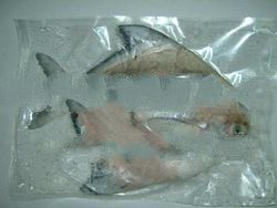 Chinese Frozen Sliver Pomfret Fish