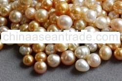 n South sea Pearl - Loose - Circle