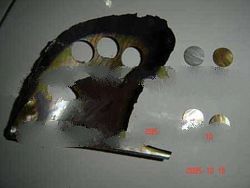 BROWNLIP BOWL TYPE Shell Button