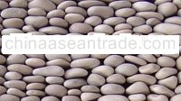 Asian Tan, Pebble Standing
