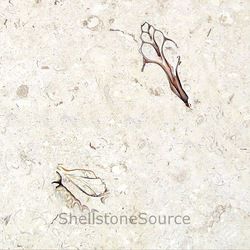 Shellstone Premium Tiles 50cm x 50cm