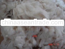 Sell Cotton waste