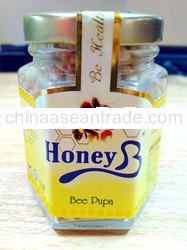 Bee Pupa