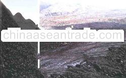 n Steam Coal GAR 4200