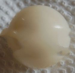 natural pearl from clam shell tridacna