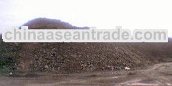  Steam Coal