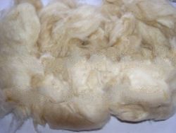 Kapok Fibre