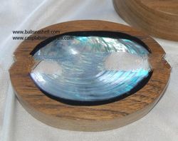 shell disc art natural