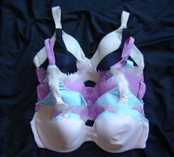5 New Body By Victoria's BBV IPEX Bras 38C