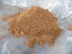 Coco Peat