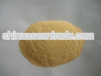 yellowish garlic powder
