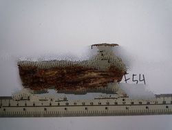 prehistoric collection