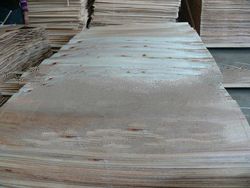 ALBASIA SHORT GRAIN CORE VENEER JOINTED BY CORE BUILDER