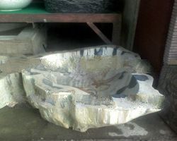 Basin Wood Fossil