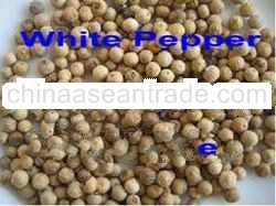 White pepper wholes and powder (Steam sterilized)