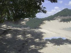 Lombok Beach Lodge & Diving Center for Sale