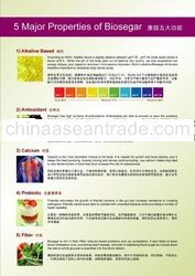 BIOSEGAR Alkaline Antioxidant Refreshing Drinks