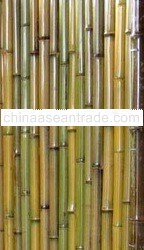 FENCING PANEL BAMBOO BM13