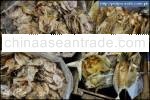 Dried fish from Palawan /