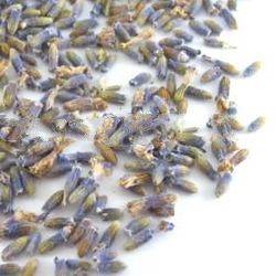 Lavender Buds