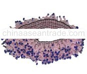 Bead Feather Necklace