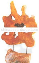 TEAK ROOT STAND TRS2