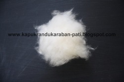 Kapuk Fiber / Serat Kapuk