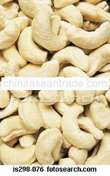 Cashew Nuts-Palawan