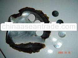 BLACKLIP Shell Button