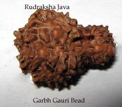 Rudraksha Bead