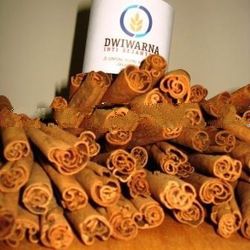 Cinnamon Stick Quills