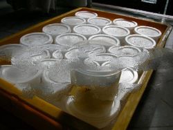 Original Own Farmed Bird's Nest