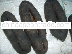 dried sea cucumber