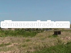 Land For Sales in Canggu