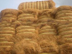 Coconut Fibre